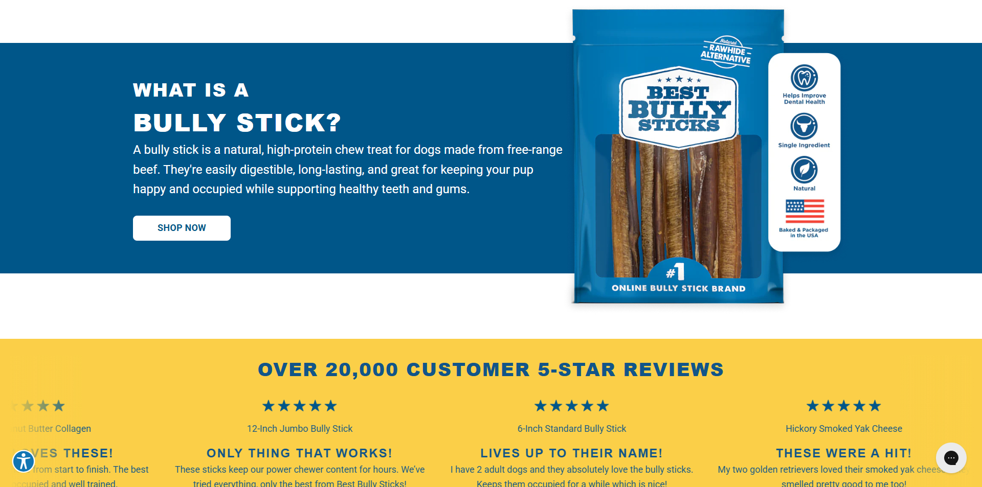 Best Bully Sticks