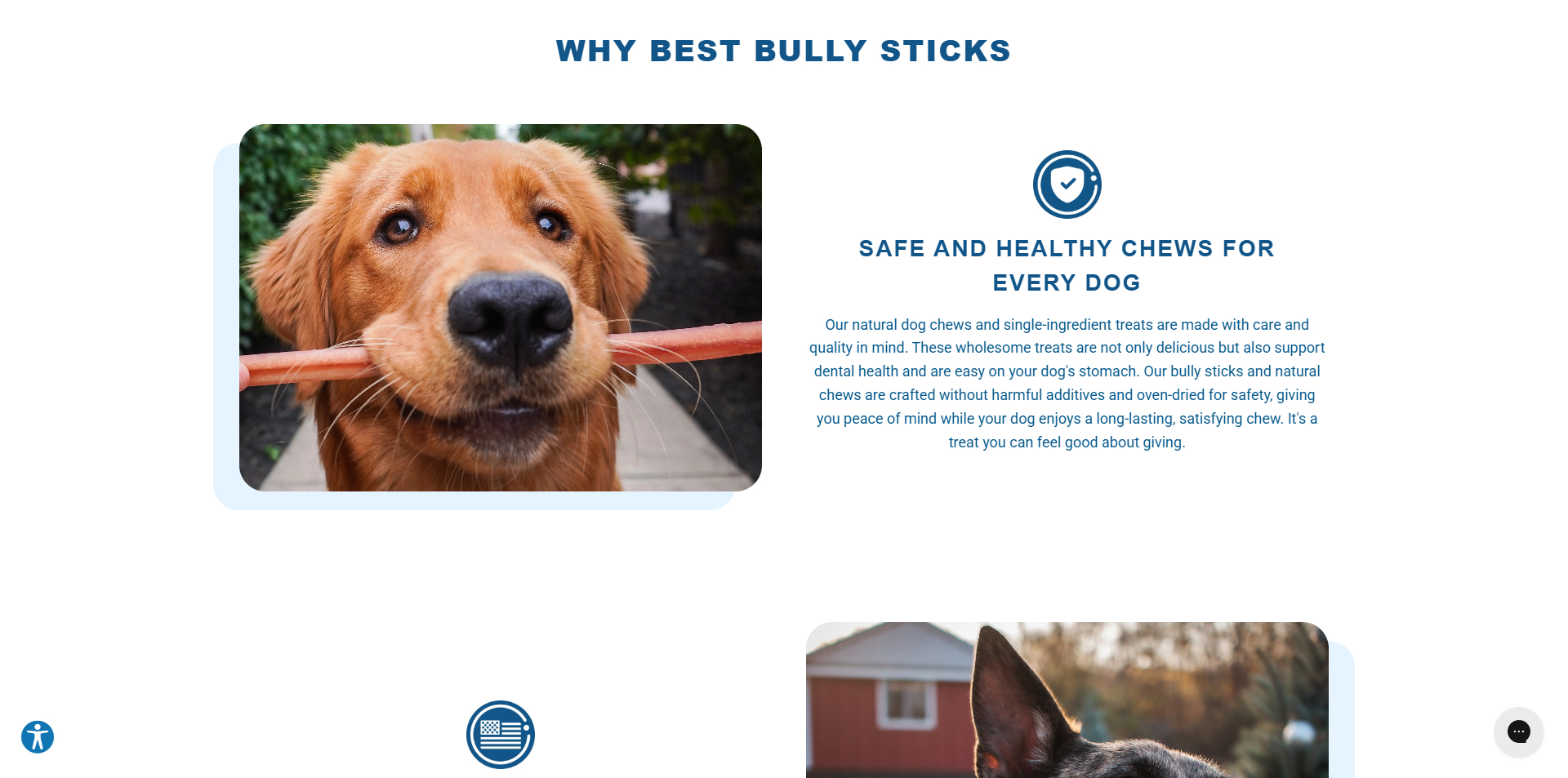 Best Bully Sticks Promo Code