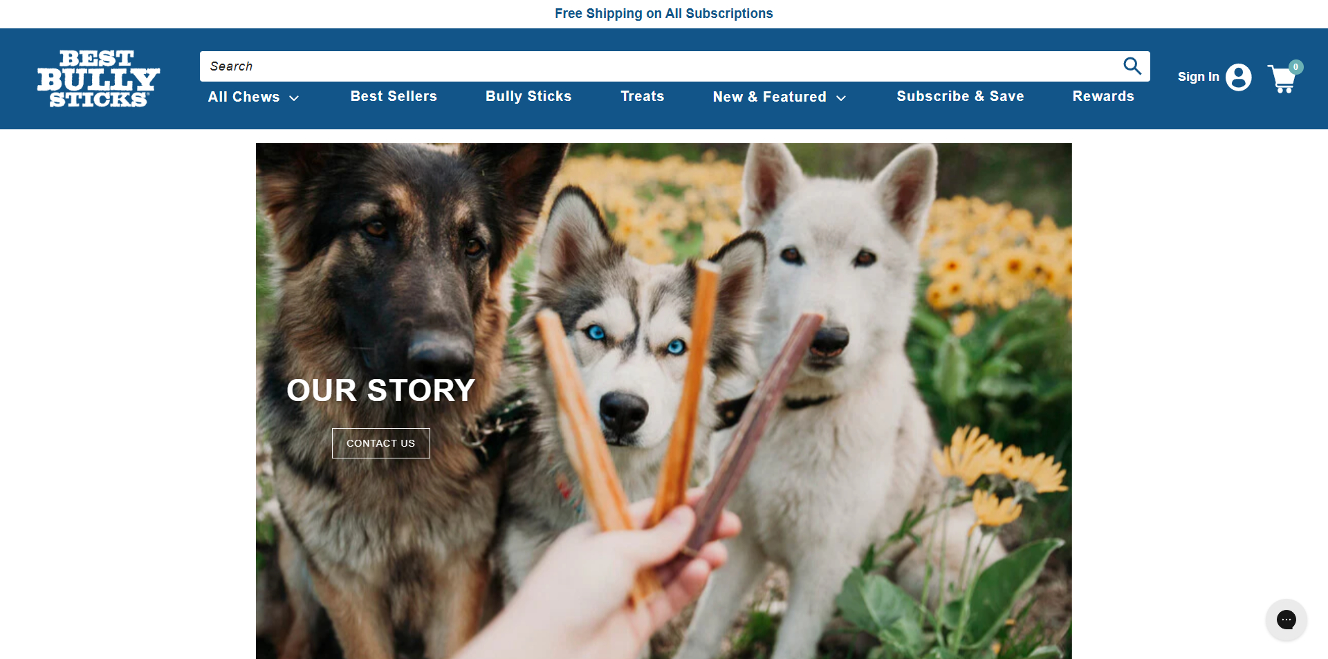 Best Bully Sticks Promo Code