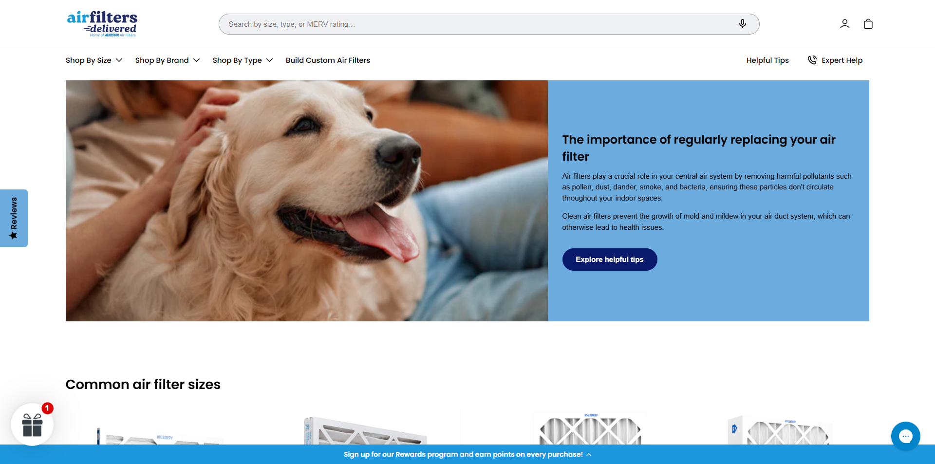 Air Filters Delivered coupons