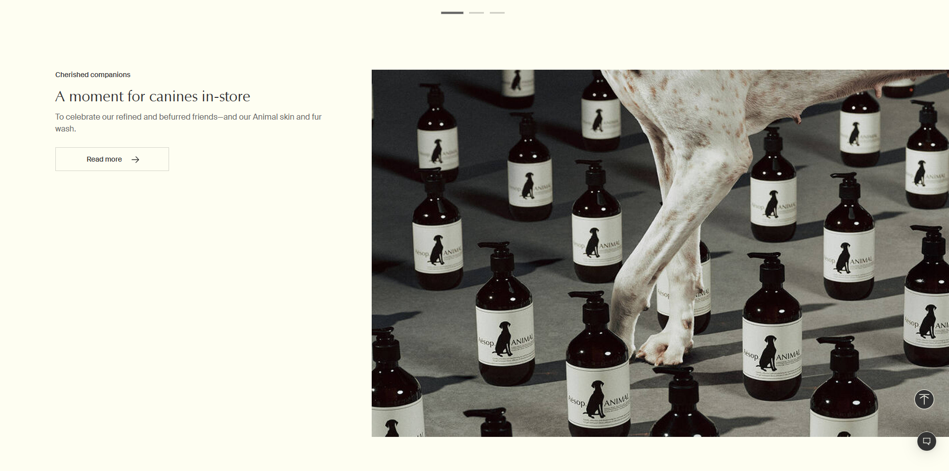 Aesop Promo Code