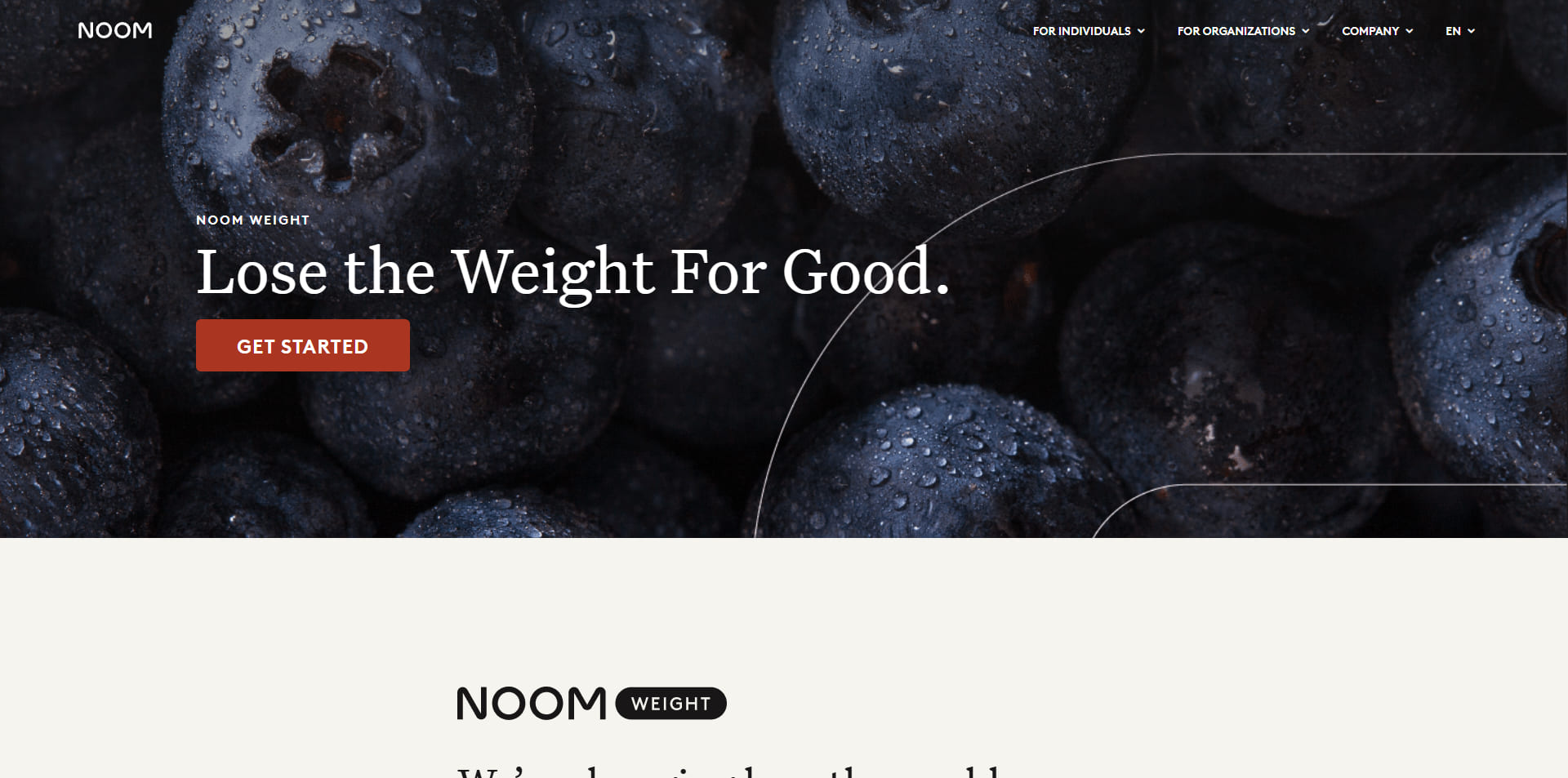 Noom voucher