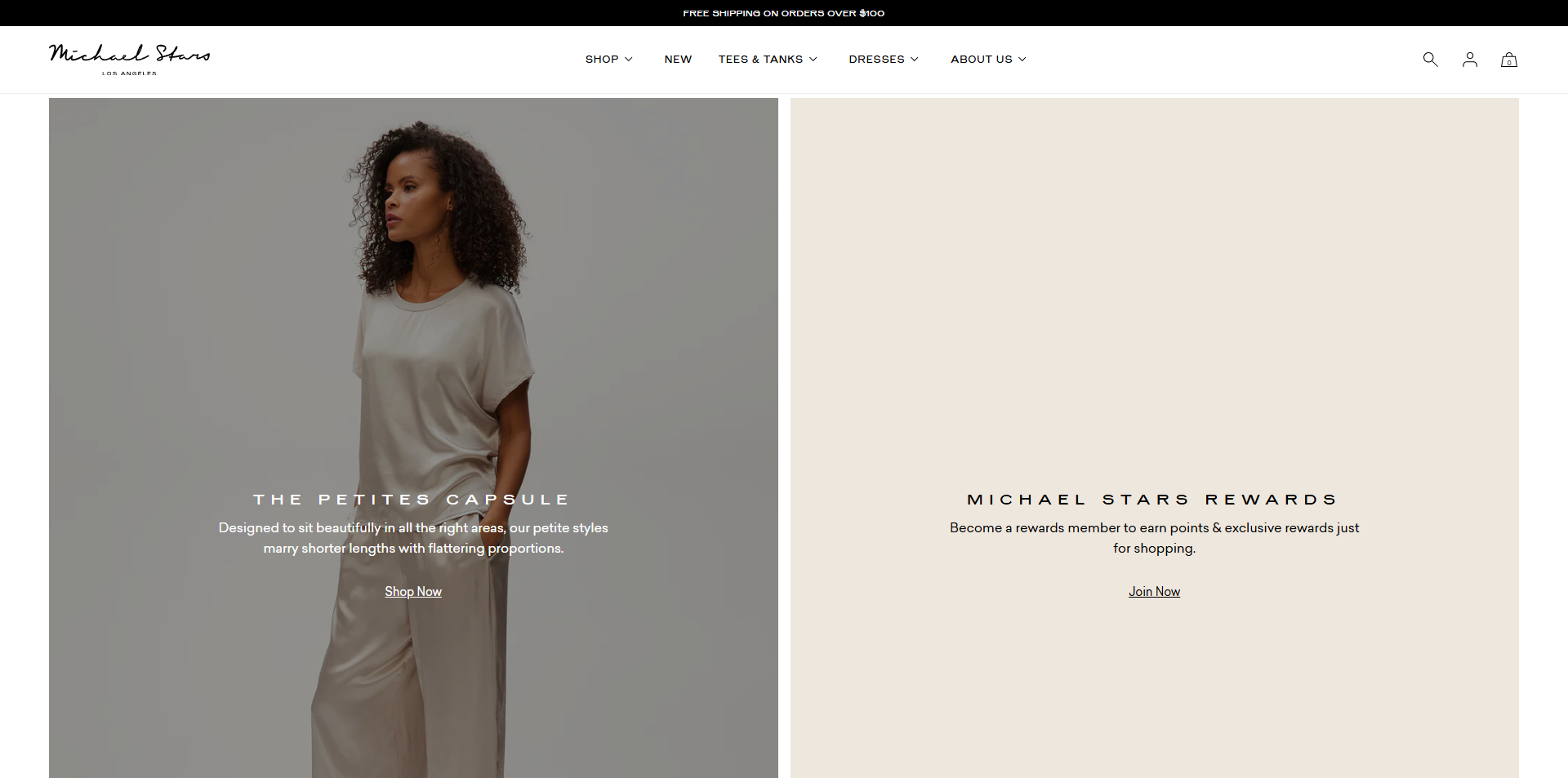 Michael Stars coupons