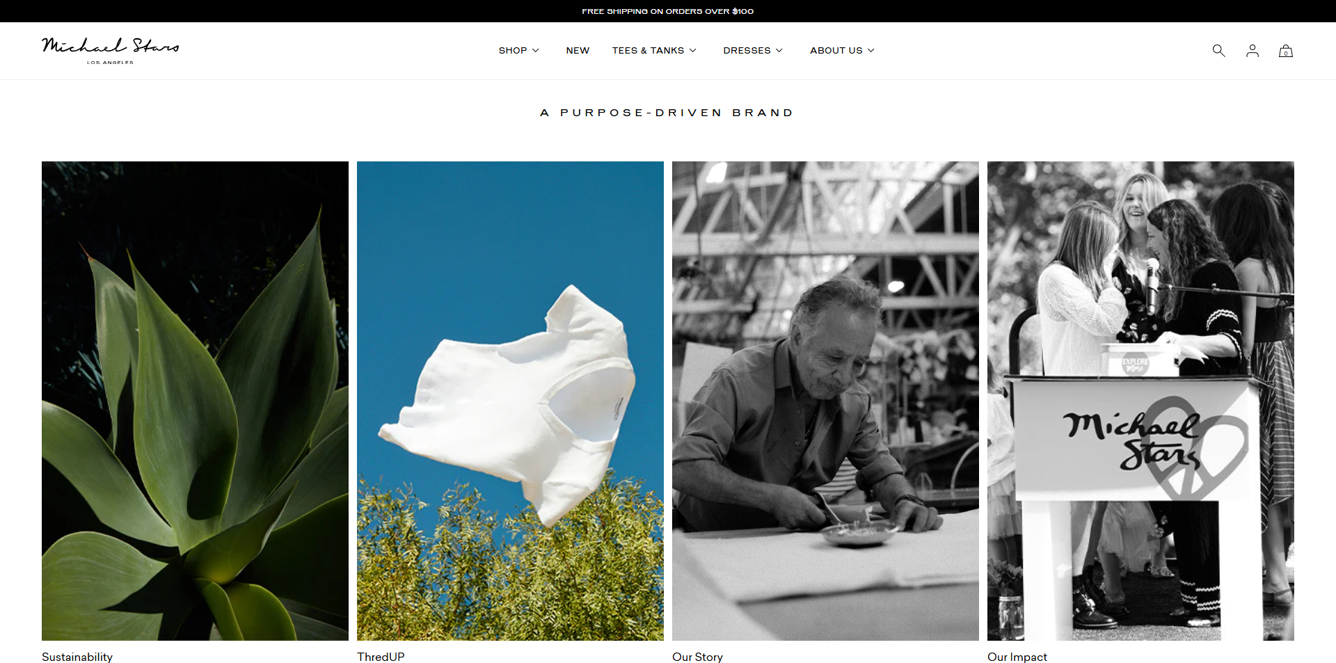 Michael Stars Code promo