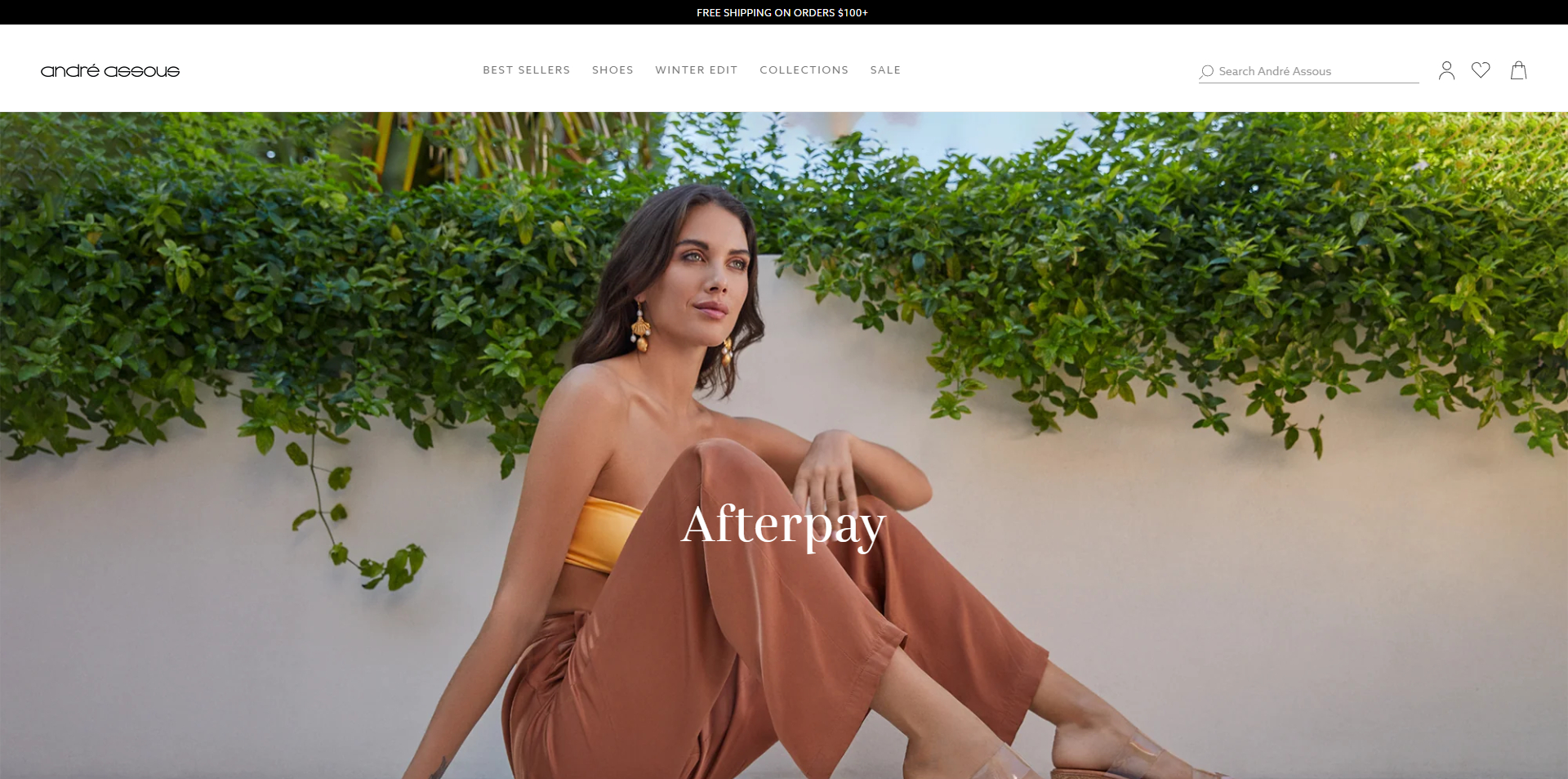 Andre Assous Promo Code