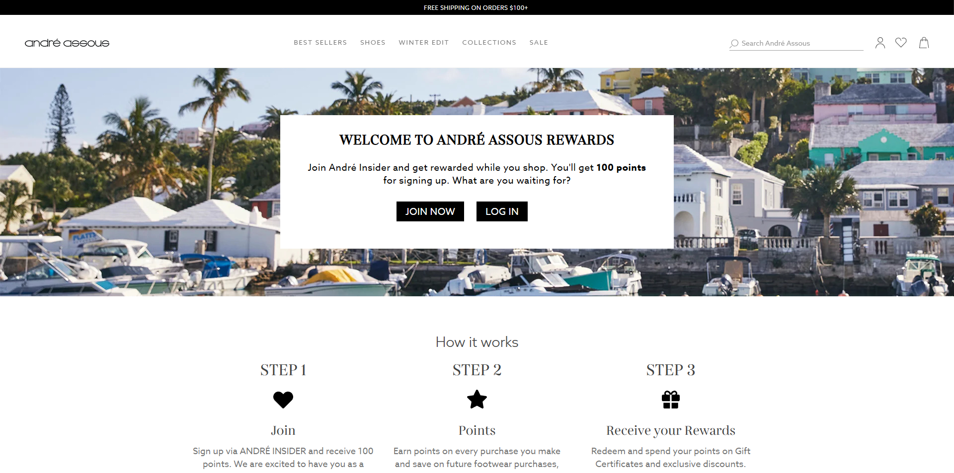 Andre Assous coupons