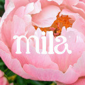 Hey Mila Inc (US)