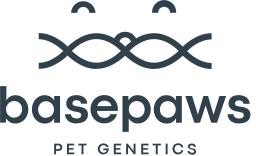 Basepaws